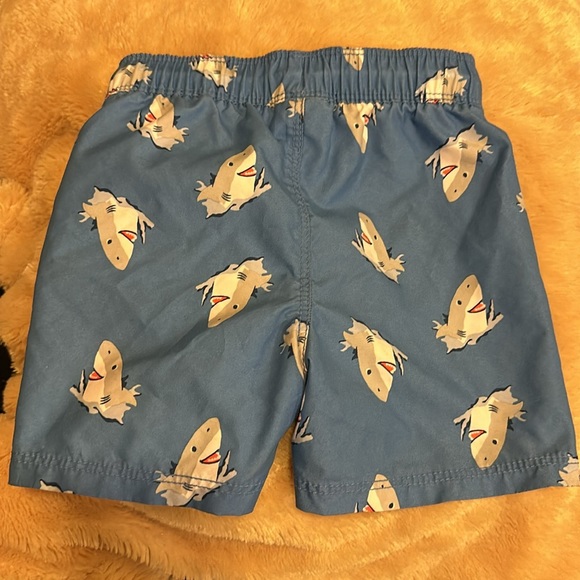 18-24M Boys Swim Trunks - Picture 2 of 4